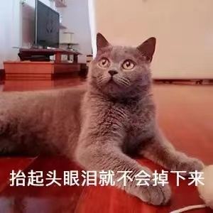 邻居加装外开式防盗门，妨碍自家出入，起诉了……||【秦晋律师普法】