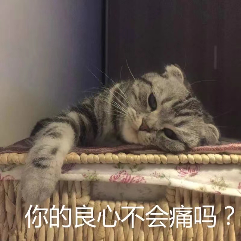 32.jpg 32.jpg