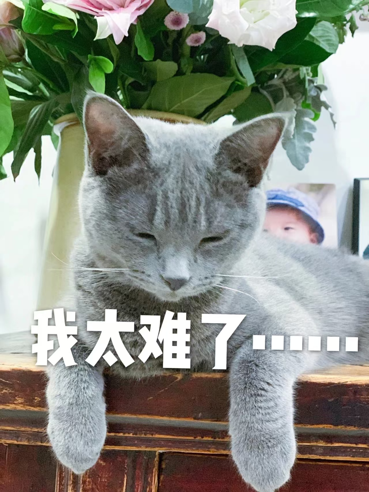微信图片_20240816233638.jpg 微信图片_20240816233638.jpg